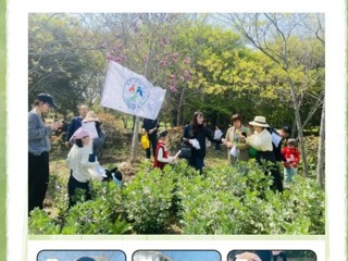 【凌霄父母乐学堂】春田花会，亲子共成长——宝带实验小学“凌霄父母乐学堂”第74期半日营活动
